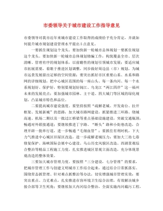 市委领导关于城市建设工作指导意见 