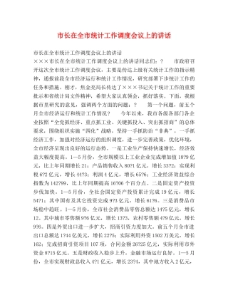 市长在全市统计工作调度会议上的讲话2 