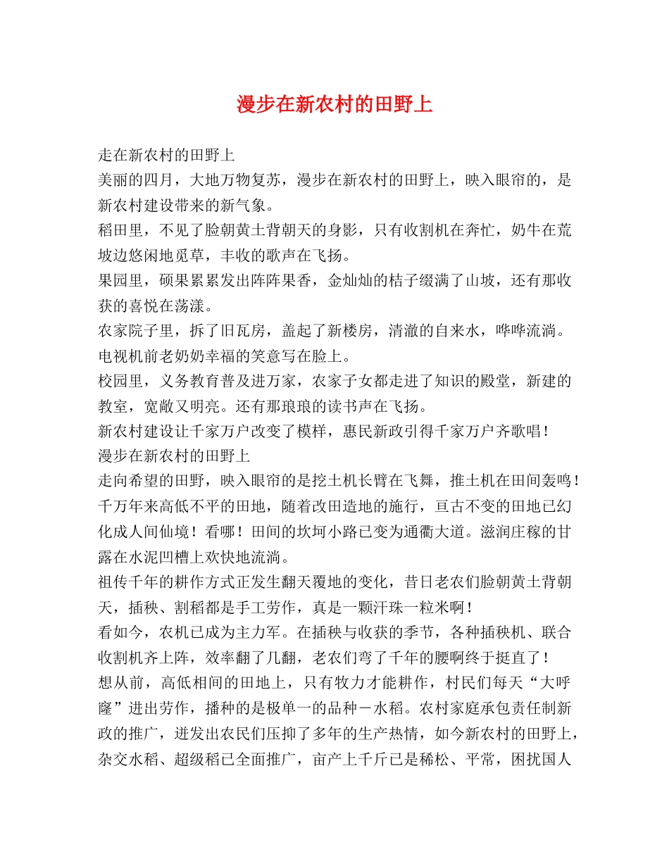 漫步在新农村的田野上 _第1页