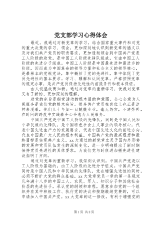 党支部学习体会心得