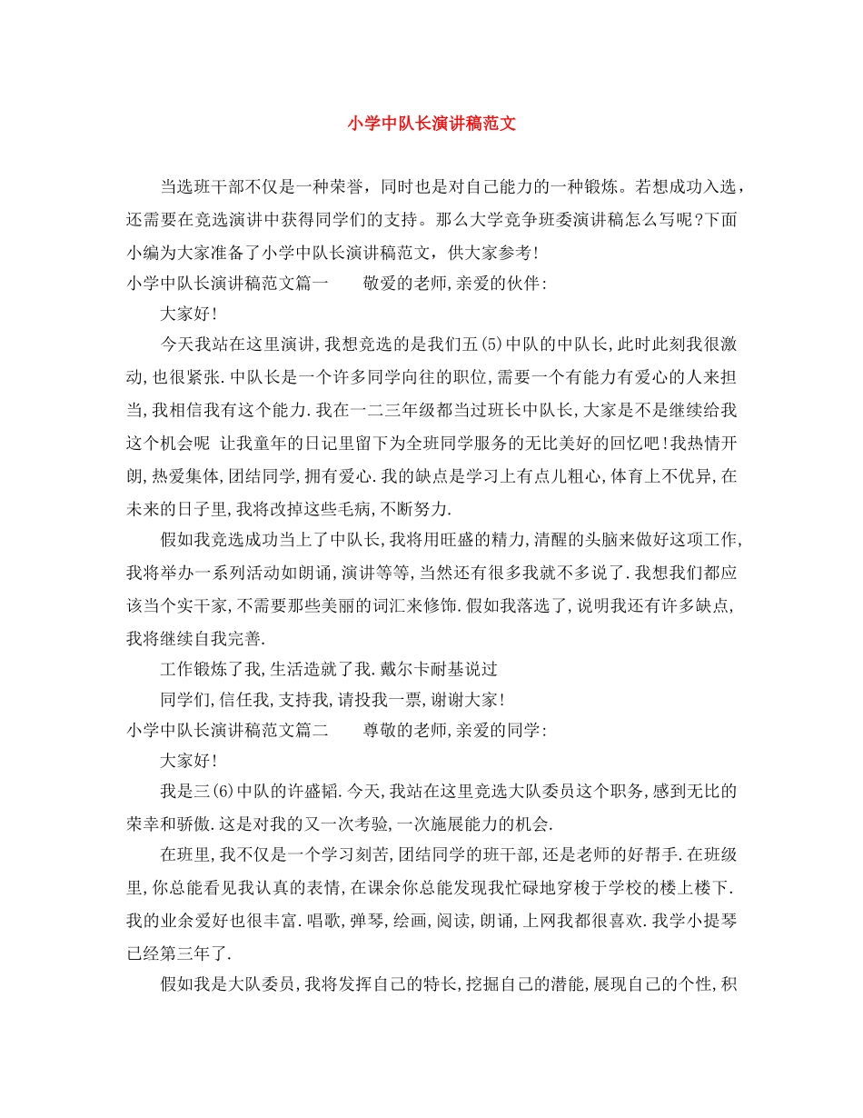 小学中队长演讲稿范文 _第1页