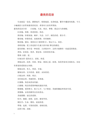 最美的花语 