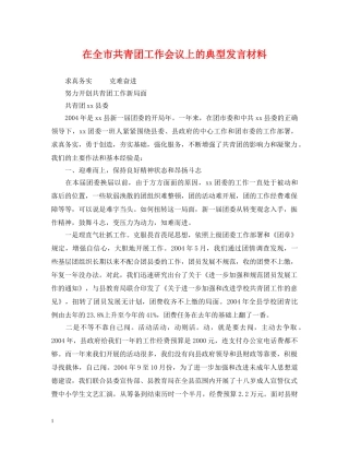 在全市共青团工作会议上的典型发言材料 