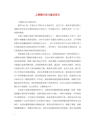 工商银行实习鉴定范文 