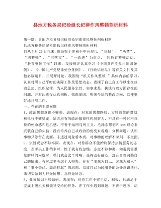 县地方税务局纪检组长纪律作风整顿剖析材料 