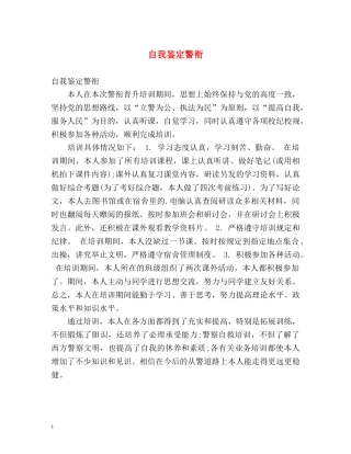 自我鉴定警衔 (2) 