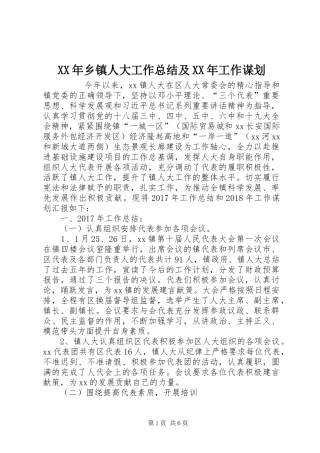 XX年乡镇人大工作总结及XX年工作谋划 