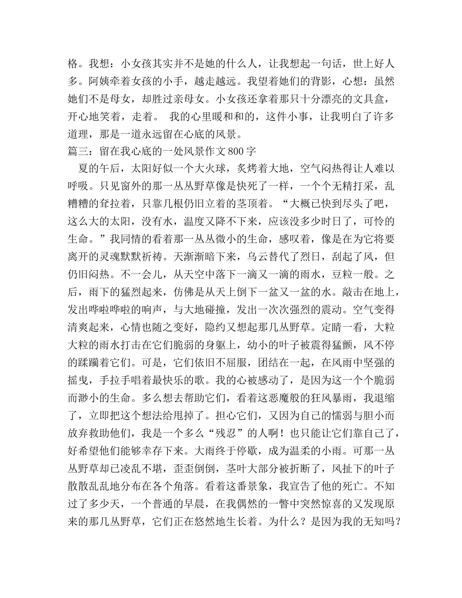 心中的美景作文800字 _第3页