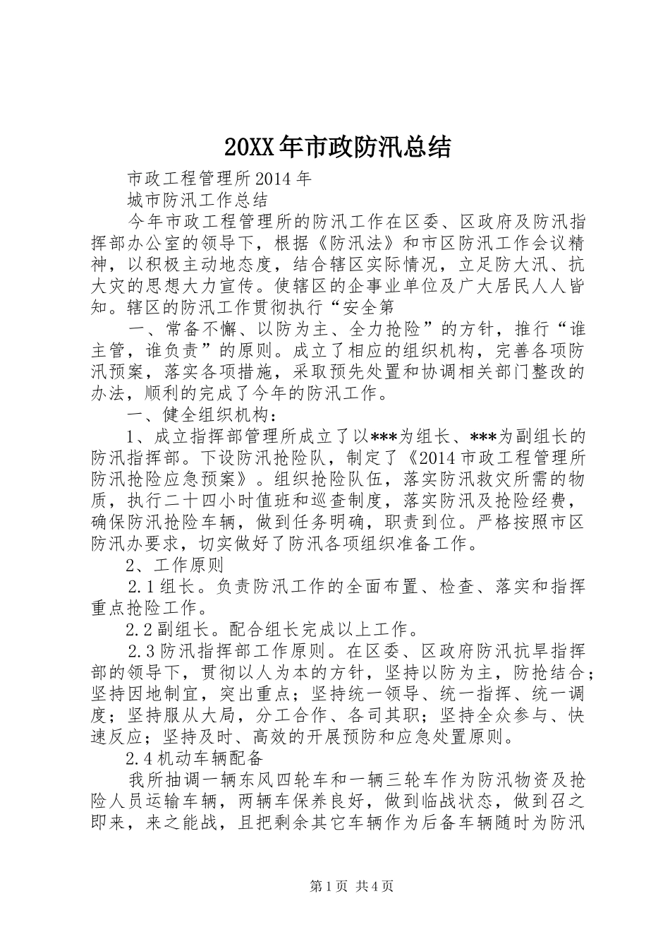 20XX年市政防汛总结_第1页