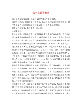 关于县领导发言 