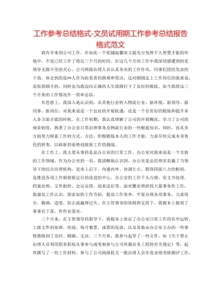 工作参考总结格式-文员试用期工作参考总结报告格式范文 