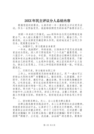 20XX年民主评议分人总结内容 