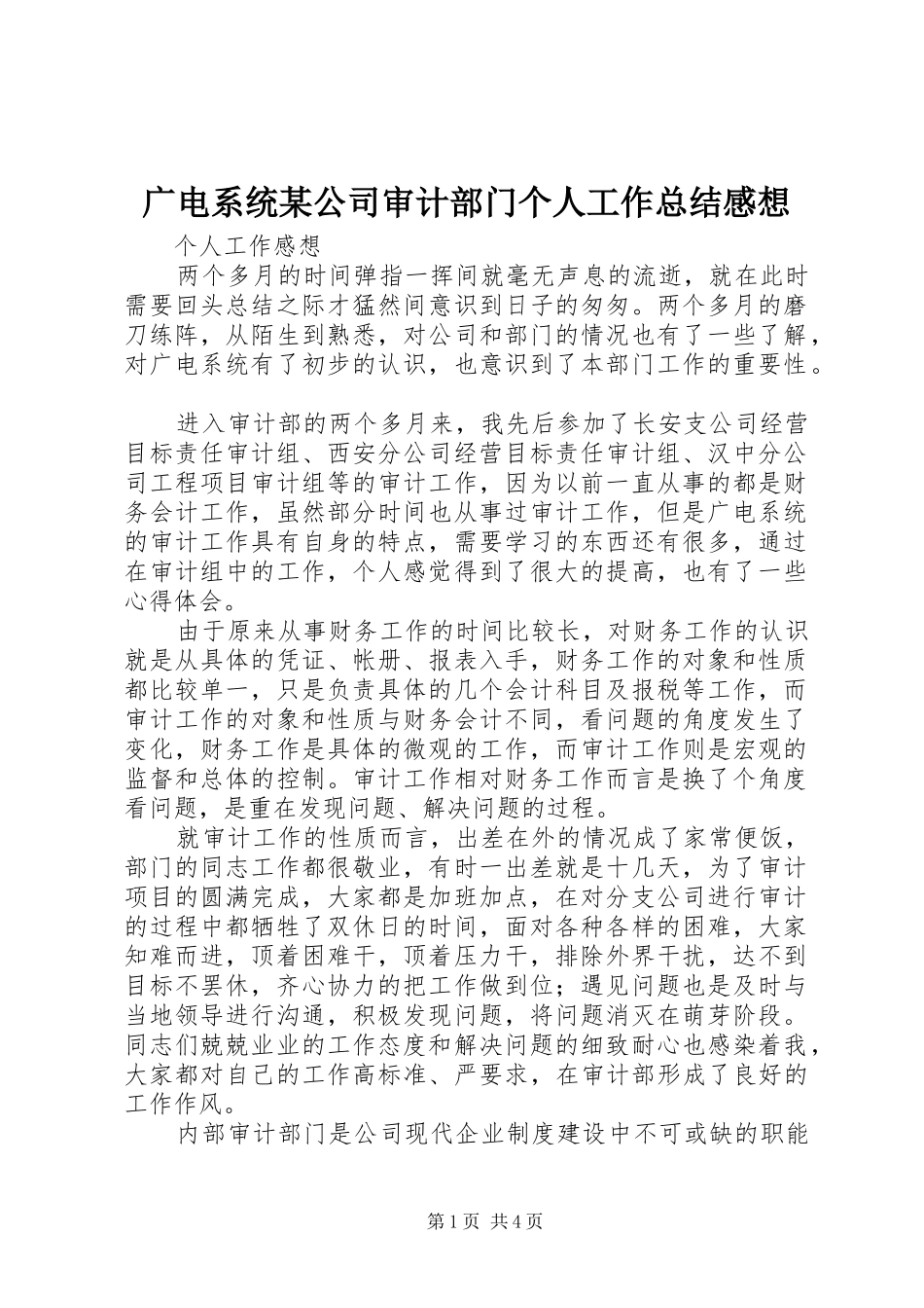 广电系统某公司审计部门个人工作总结感想 _第1页
