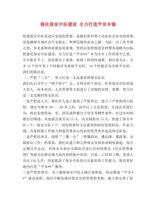 强化保安中队建设 全力打造平安乡镇 