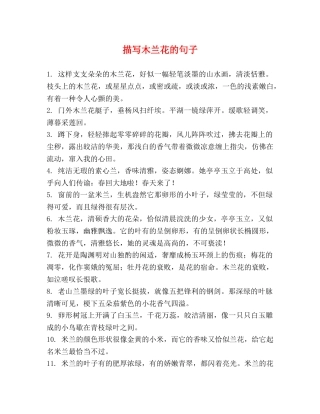 描写木兰花的句子 