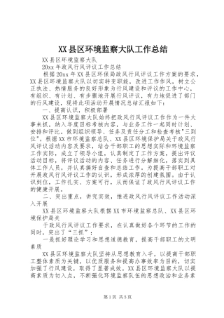XX县区环境监察大队工作总结