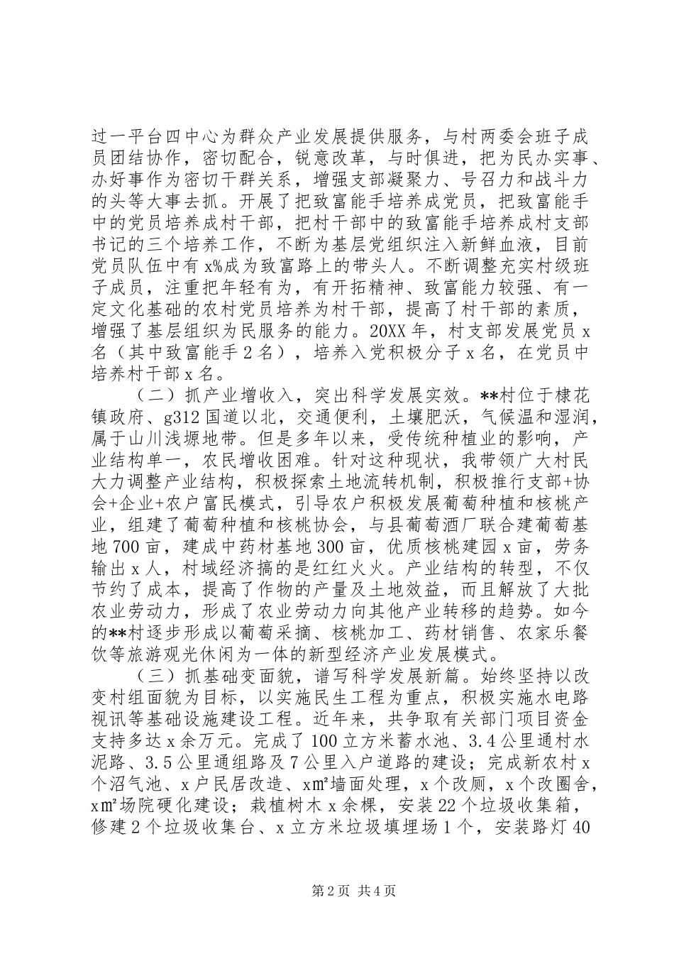 202X年度村党支部书记个人工作总结_第2页