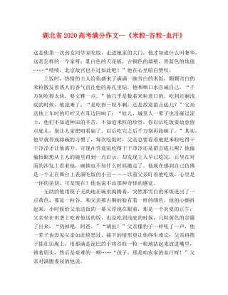 湖北省2024高考满分作文--《米粒-谷粒-血汗》 
