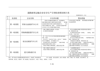 道路旅客运输企业安全生产专项检查情况统计表