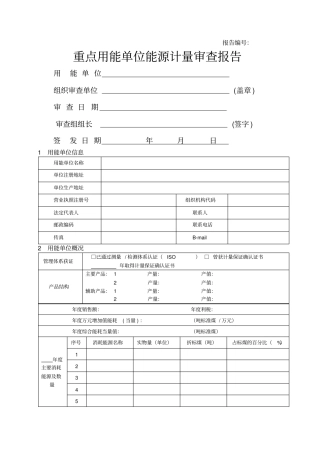 重点用能单位能源计量审查报告