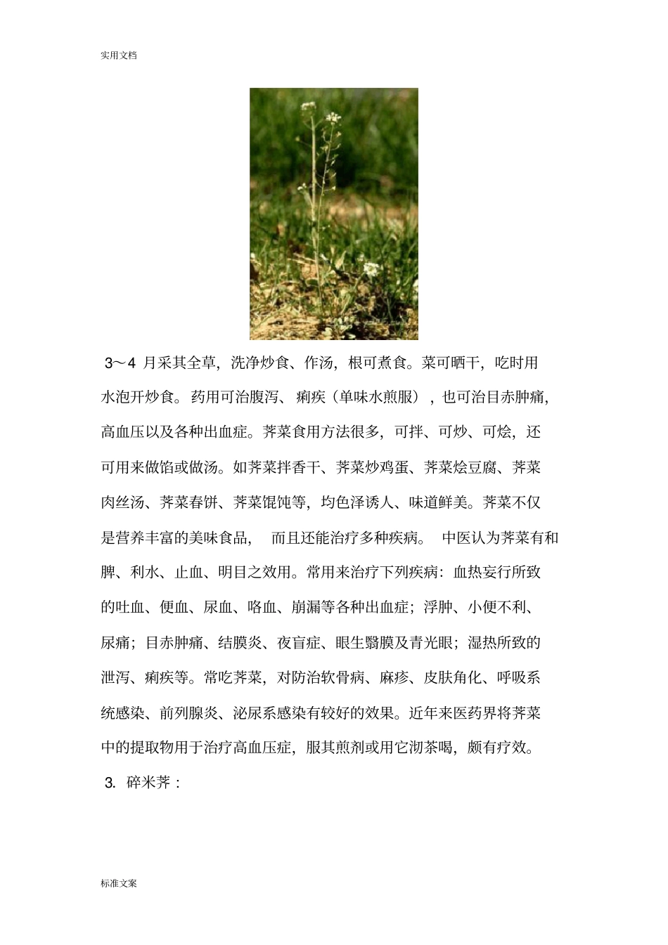 野外可食用植物大全_第2页