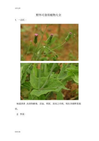 野外可食用植物大全