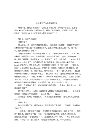 金蝉化知了六年级观察日记