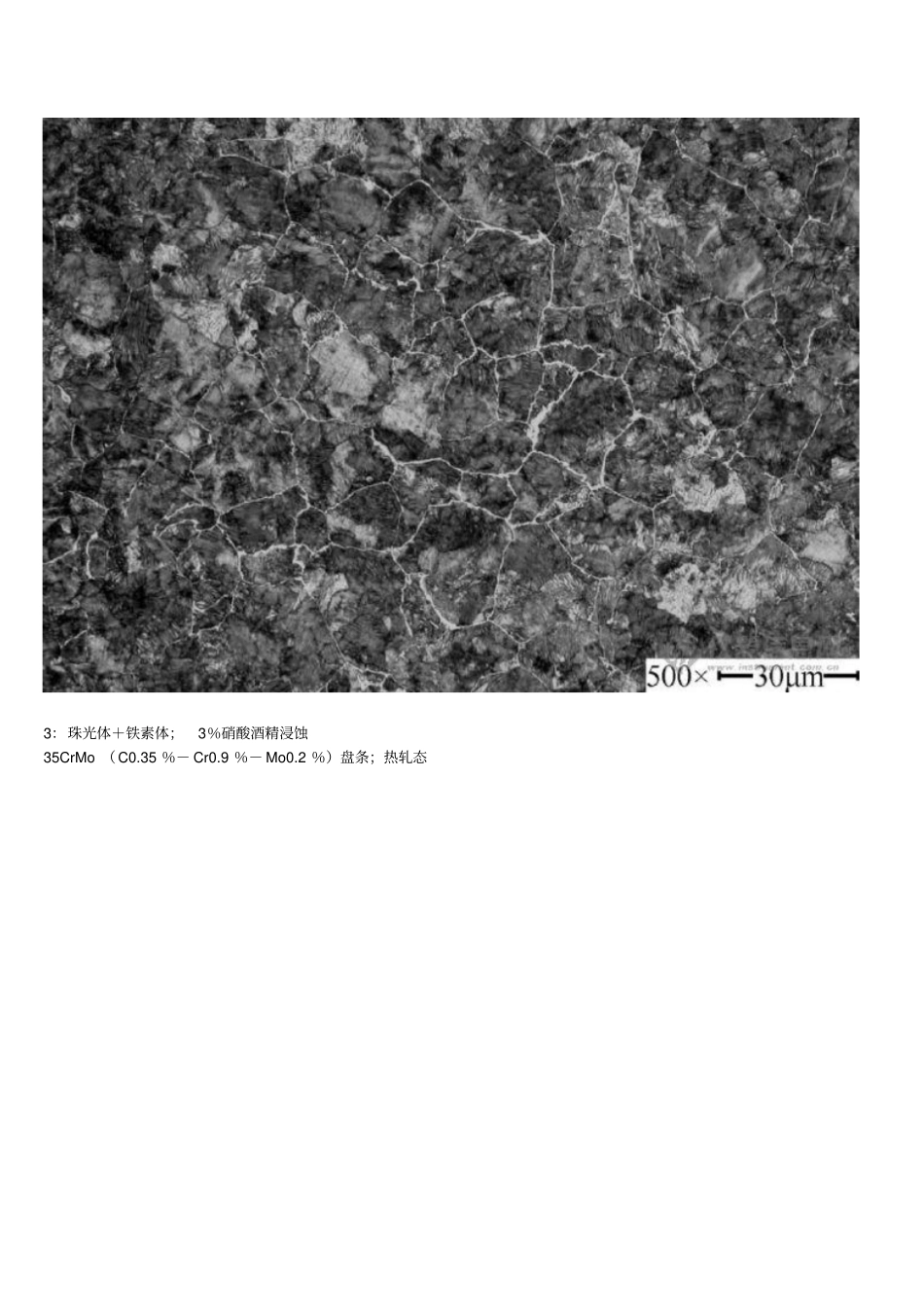 金相组织照片_第2页