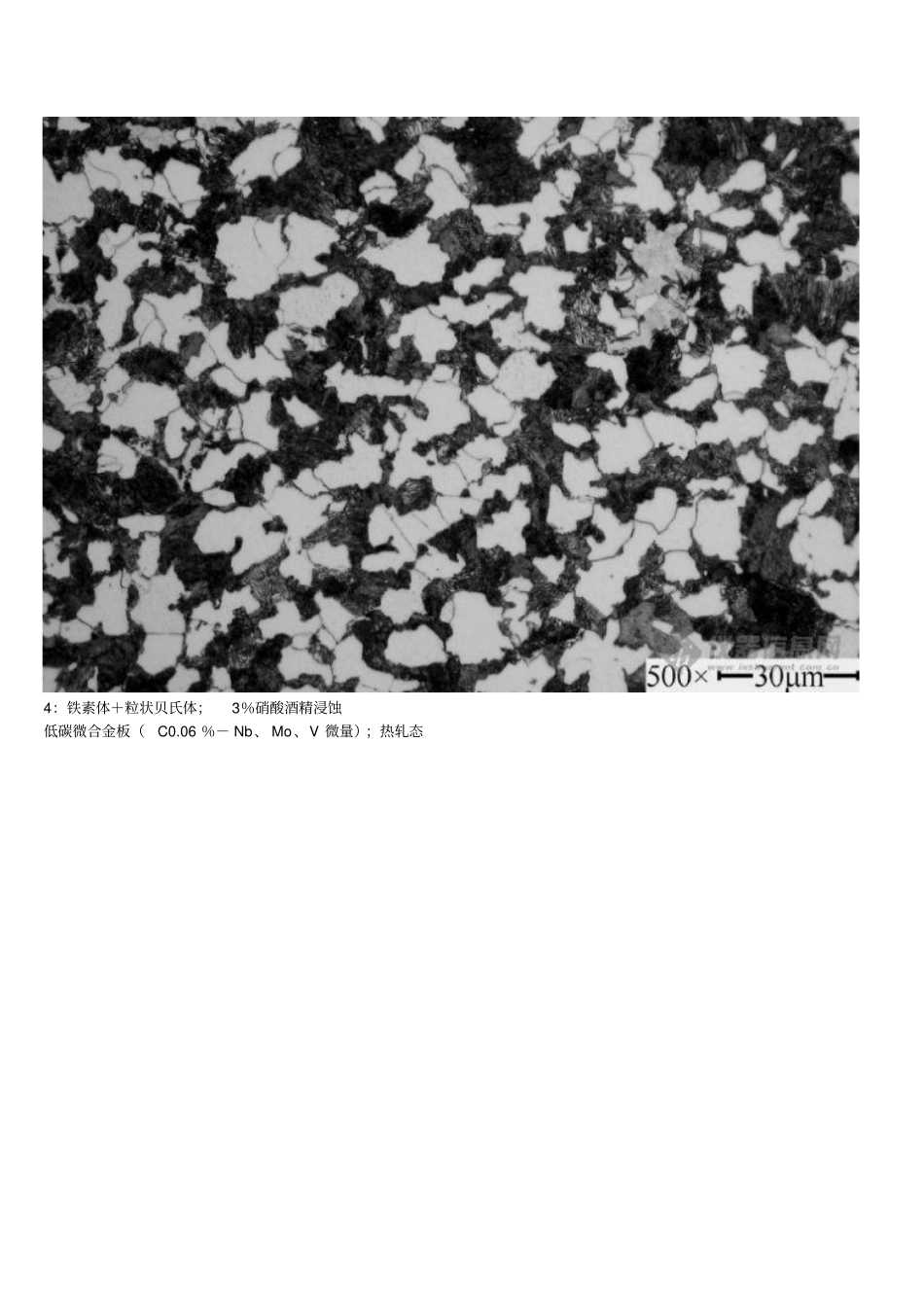金相组织照片_第3页