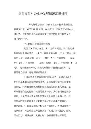 银行支行对公业务发展情况汇报材料