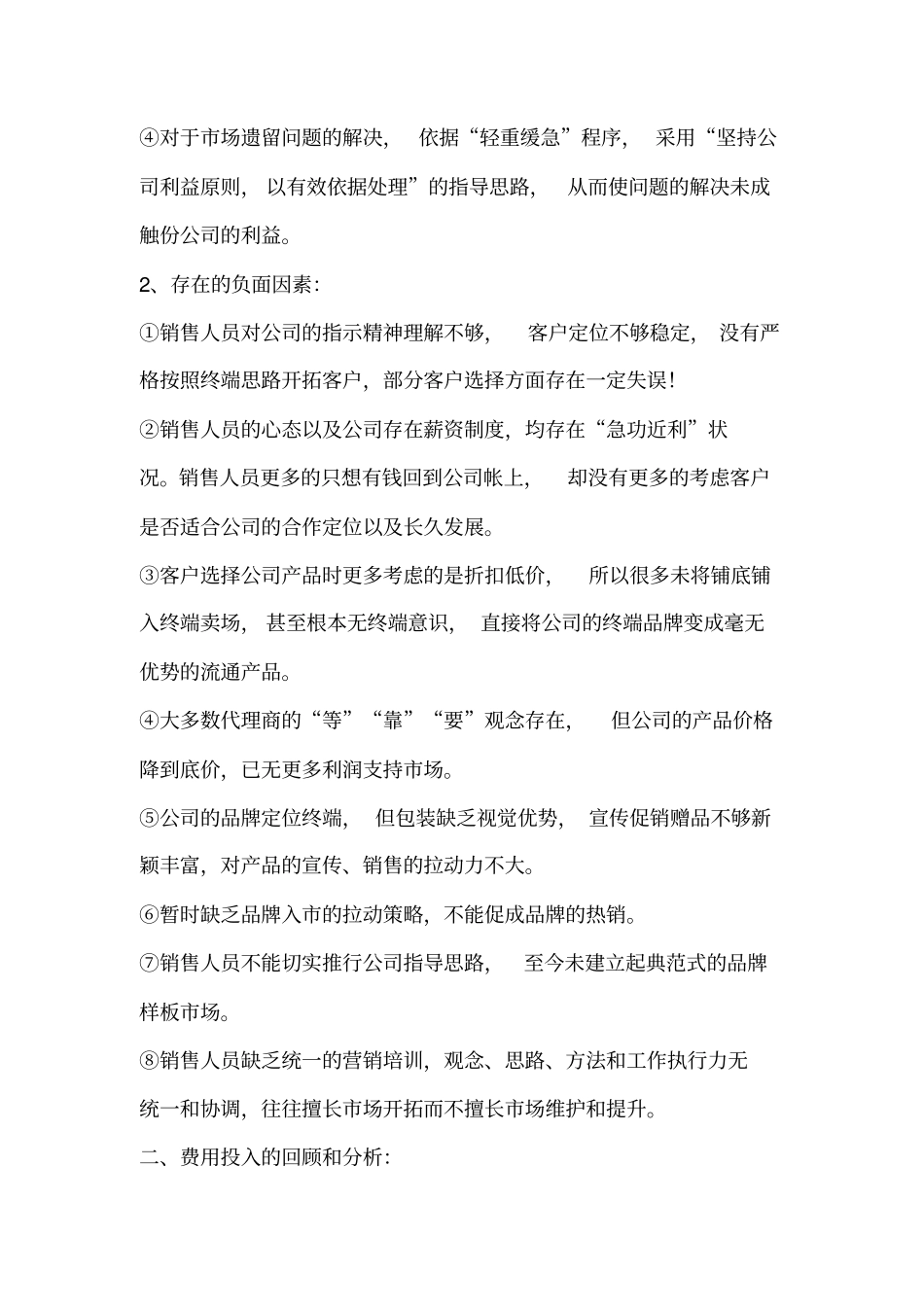 销售总监的年工作总结_第2页