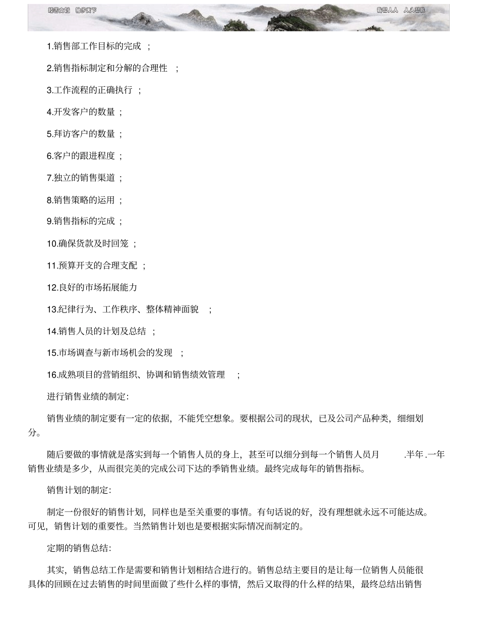 销售总监销售计划_第2页