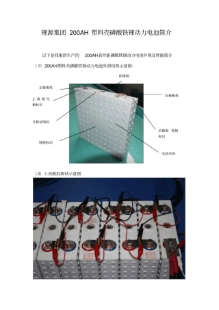 锂源200AH塑料壳磷酸铁锂动力电池简介