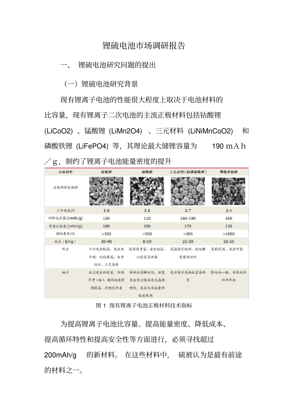 锂硫电池场调研报告_第1页
