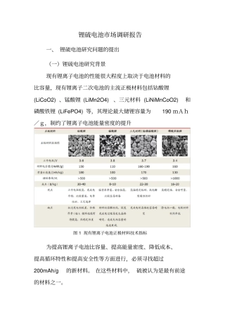 锂硫电池场调研报告