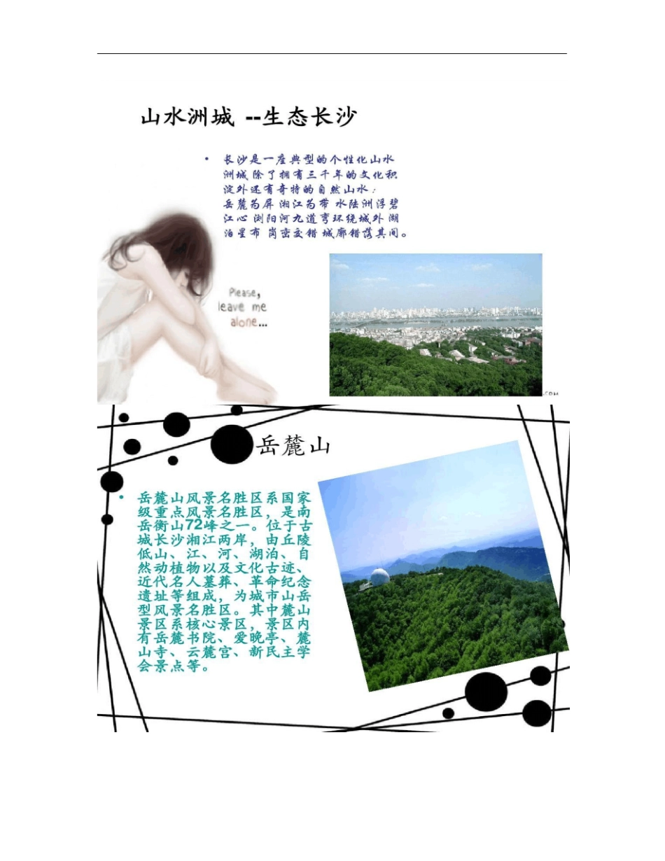 长沙城定位概要_第3页