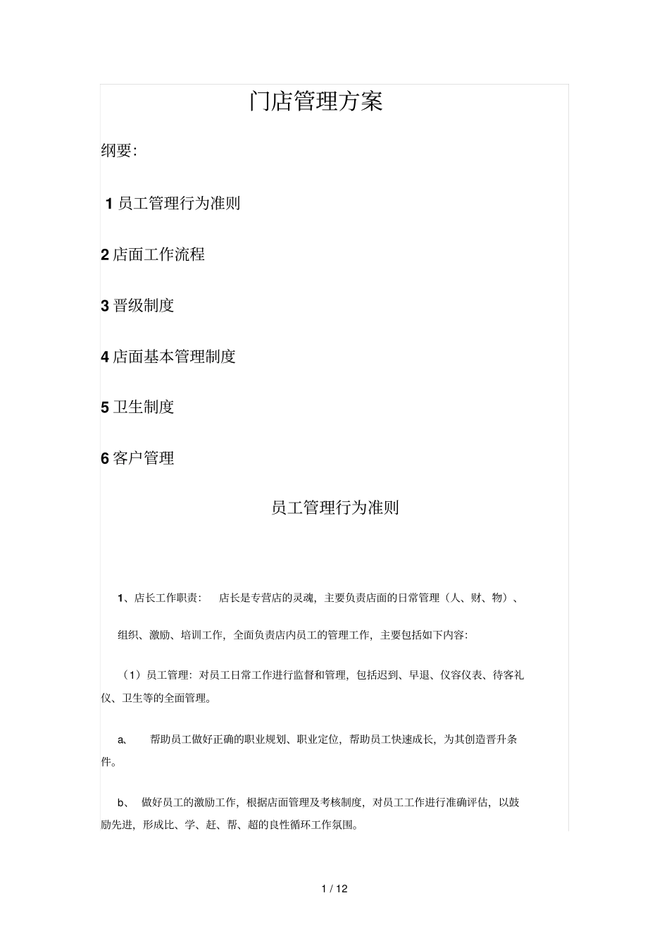 门店管理技术方案_第1页