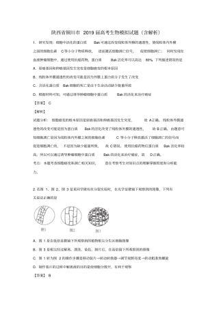 陕西铜川2019届高考生物模拟试题含解析