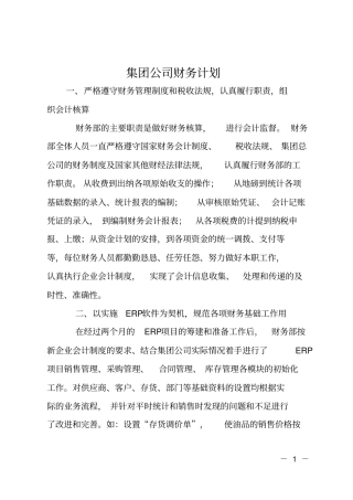 集团公司财务计划