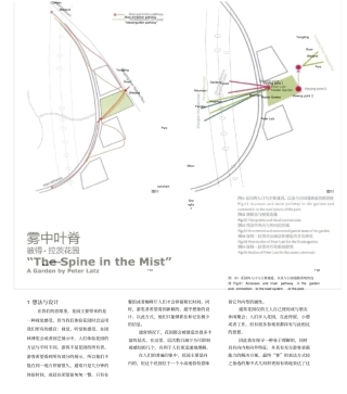 雾中叶脊彼得_拉茨花园