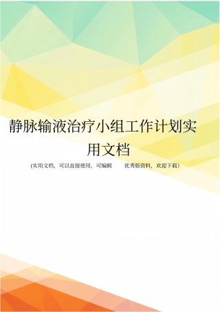 静脉输液治疗小组工作计划实用文档
