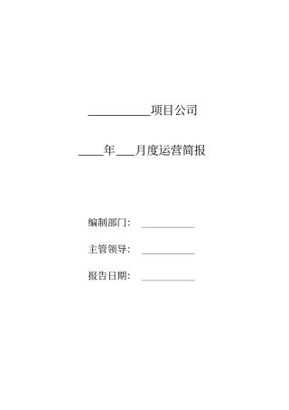 项目公司运营简报模板