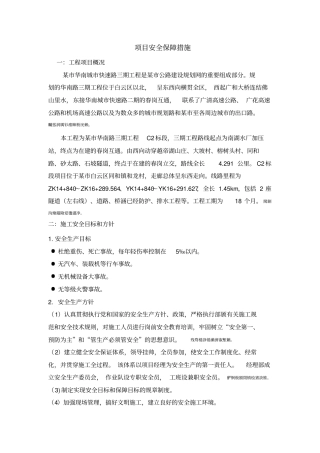 项目安全保障措施