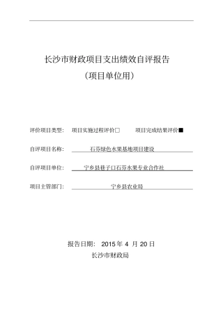 项目实施单位自评报告----范本