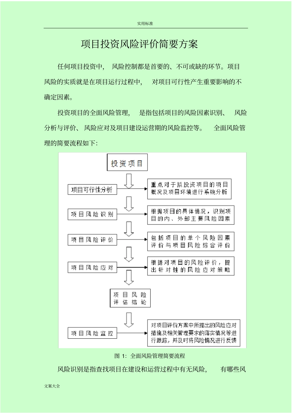项目投资风险评价与衡量方案设计_第1页
