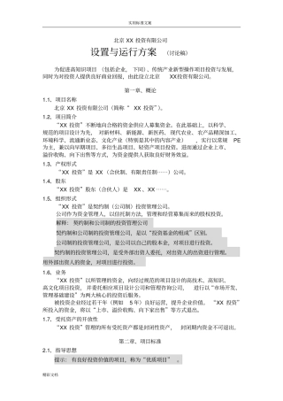 项目的投资公司设置与运行方案设计