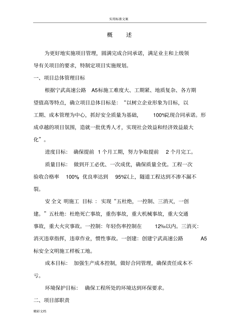 项目的管理系统实施规划例范本_第2页