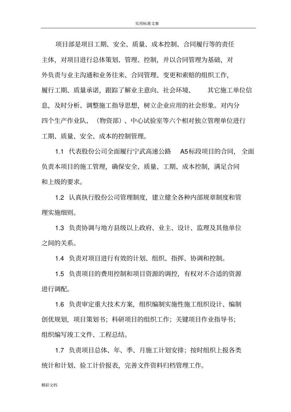 项目的管理系统实施规划例范本_第3页