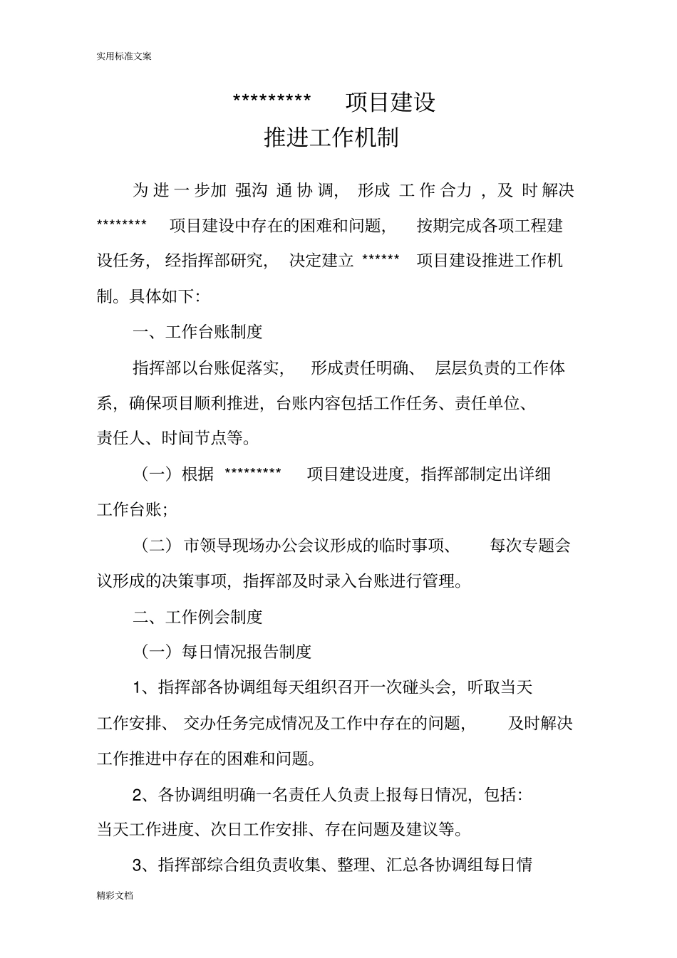 项目的建设推进工作机制_第1页