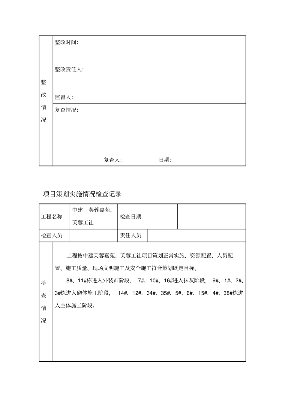 项目策划实施情况检查记录_第3页